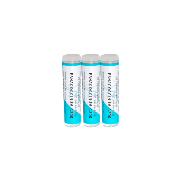 pack-resfrio-gripe-adultos-panacoccinum-c200